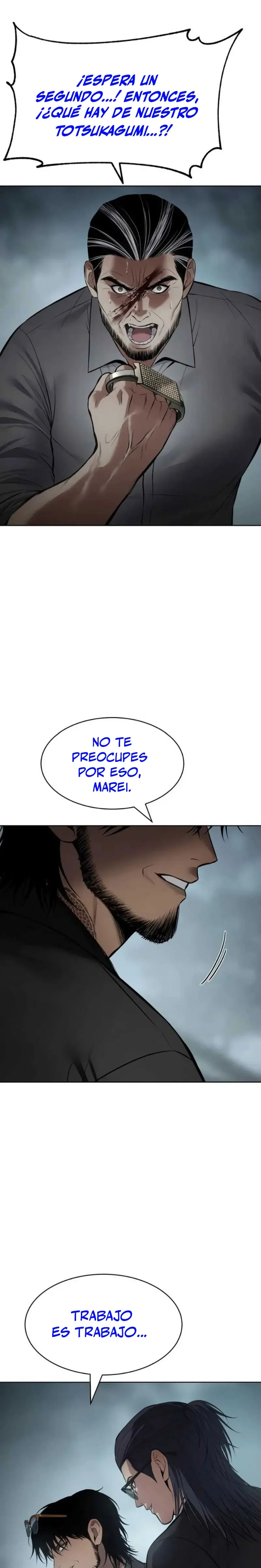 Capítulo 106, página 17