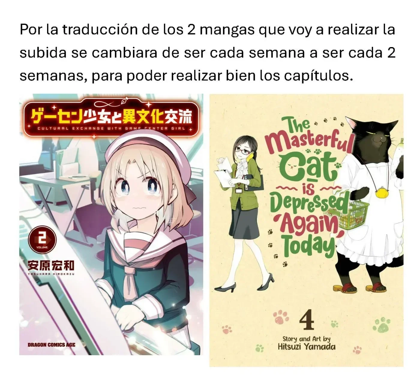 Capítulo 18, página 13