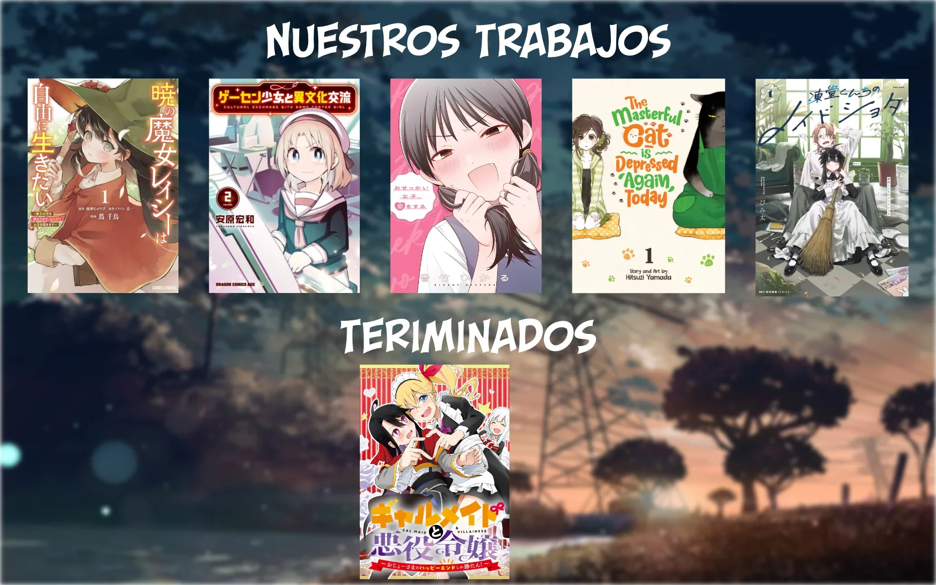 Capítulo 70, página 14