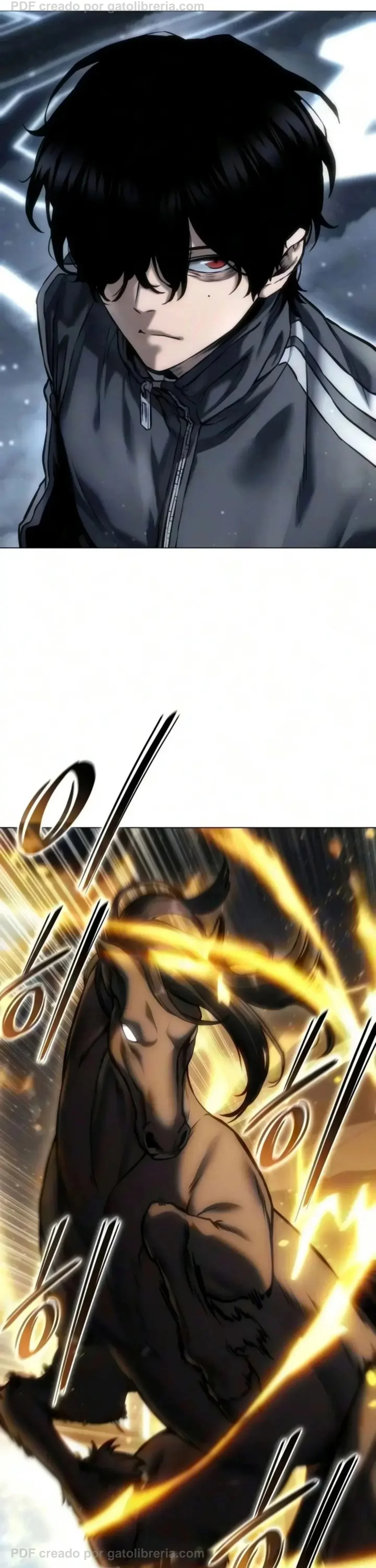 Capítulo 8, página 19