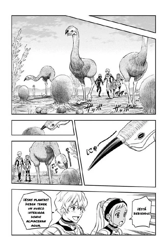 Capítulo 13, página 14
