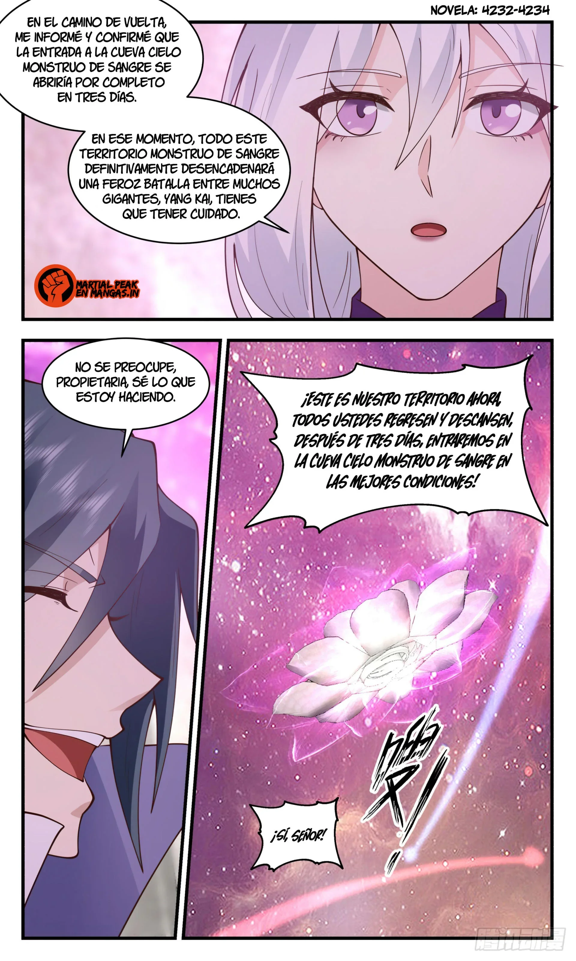 Capítulo 2731, página 13
