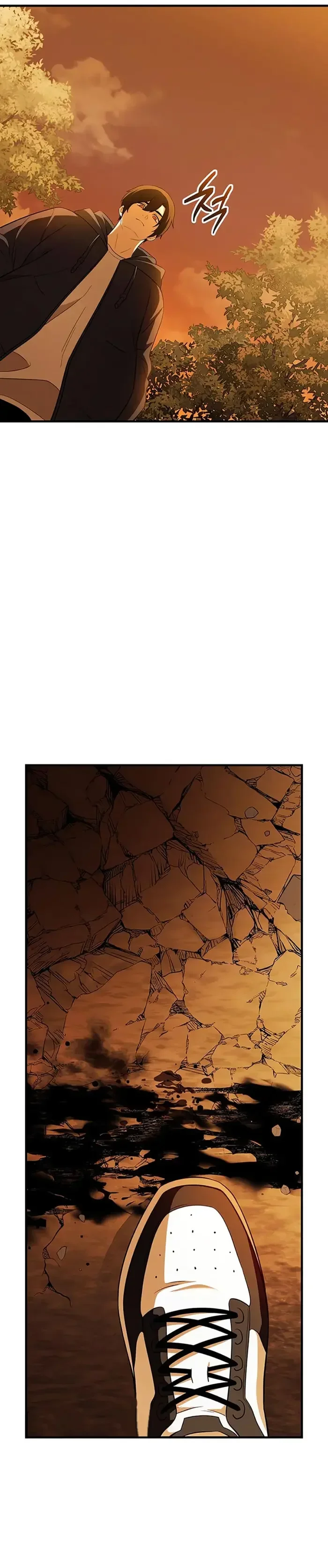 Capítulo 141, página 12