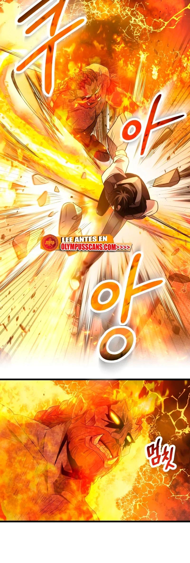 Capítulo 47, página 29