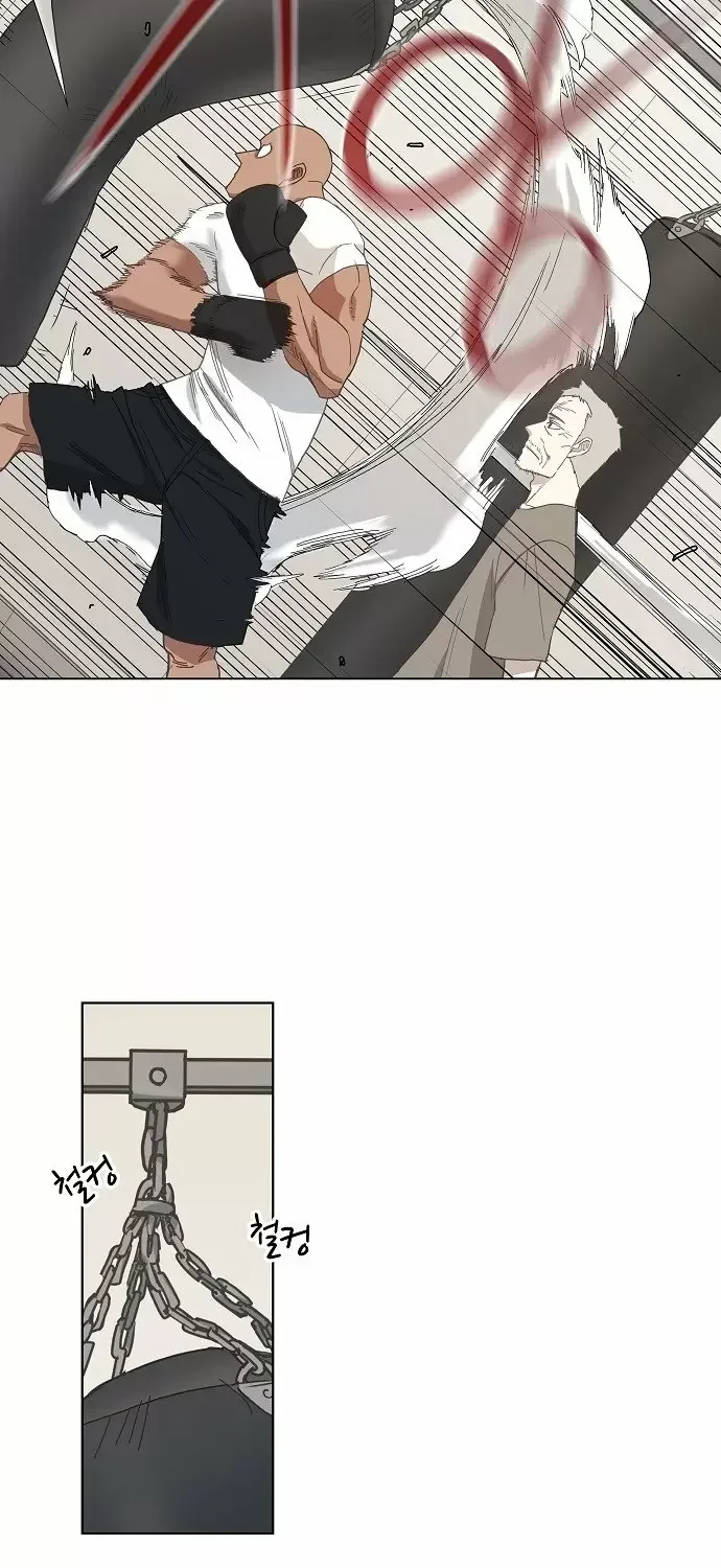 Capítulo 17, página 13