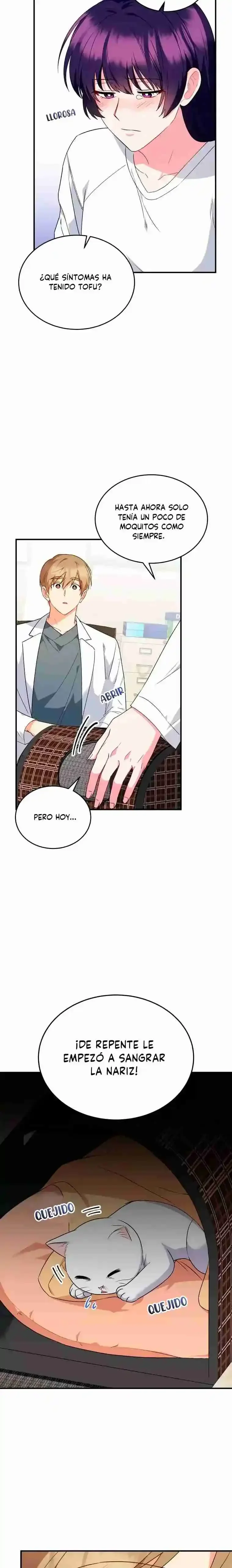 Capítulo 5, página 6