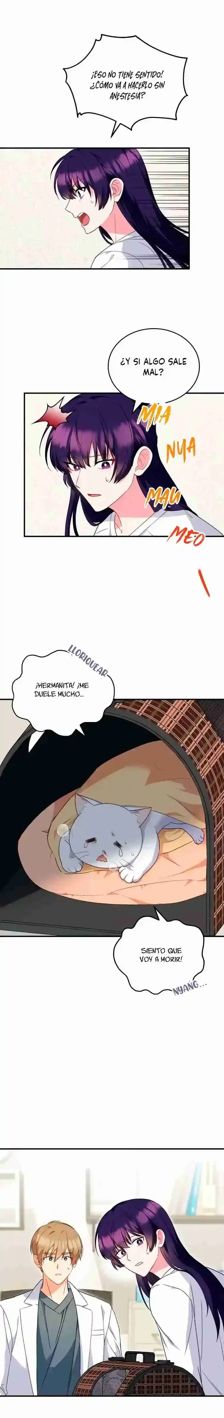 Capítulo 5, página 11