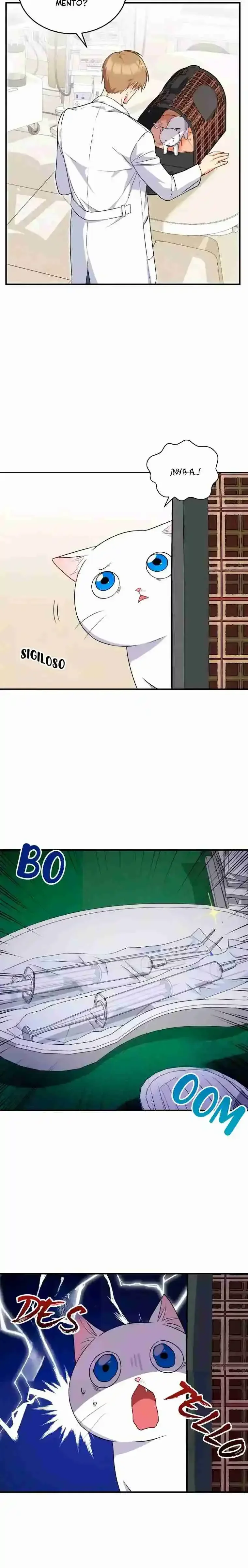 Capítulo 5, página 13
