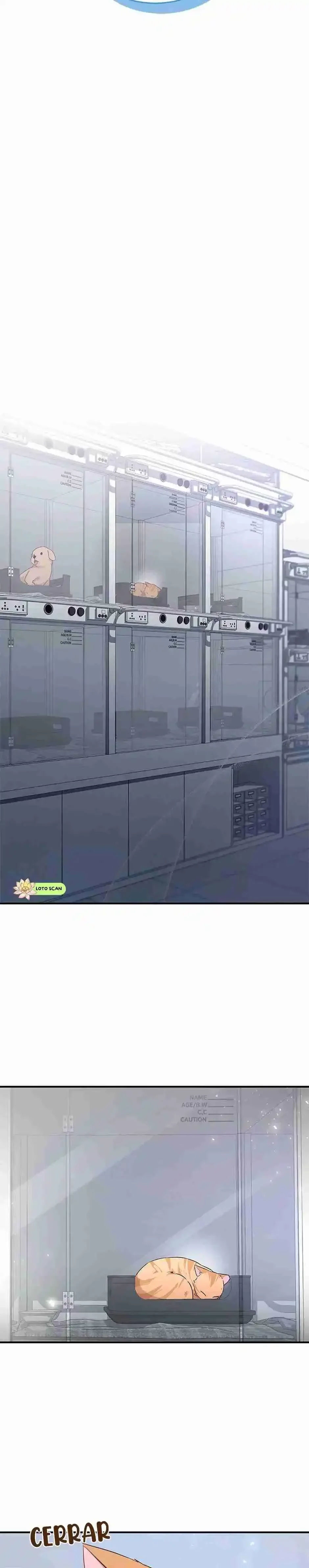 Capítulo 7, página 7