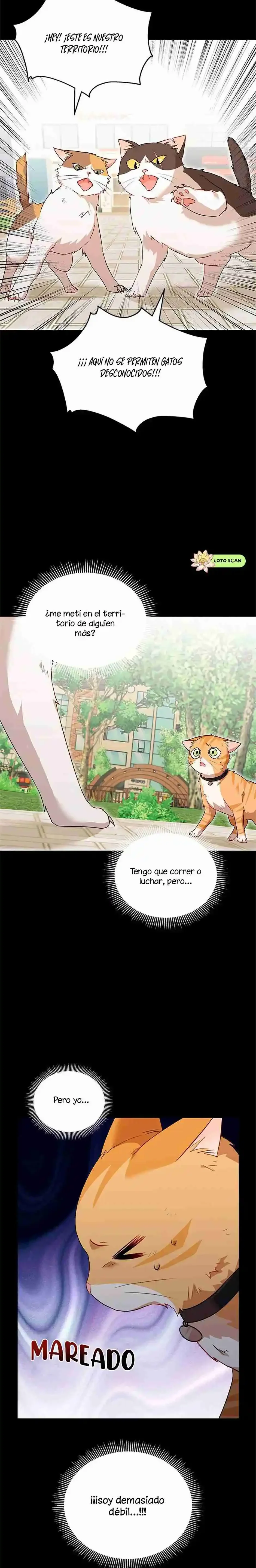 Capítulo 7, página 13
