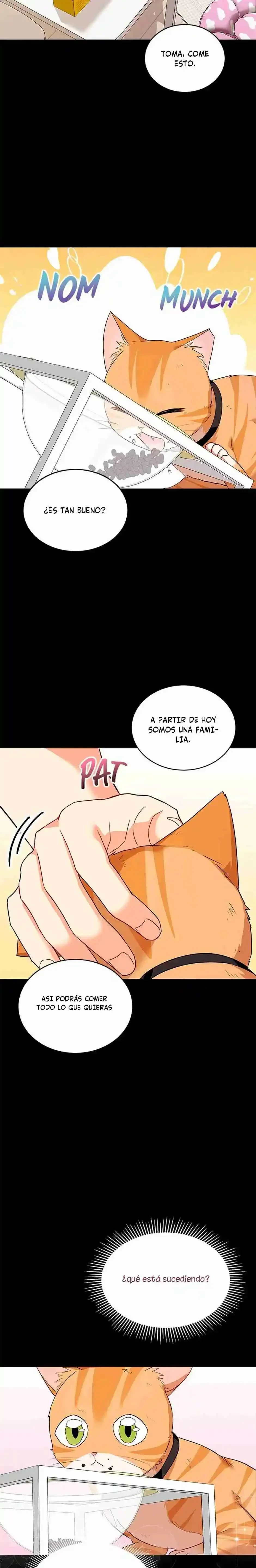 Capítulo 7, página 20