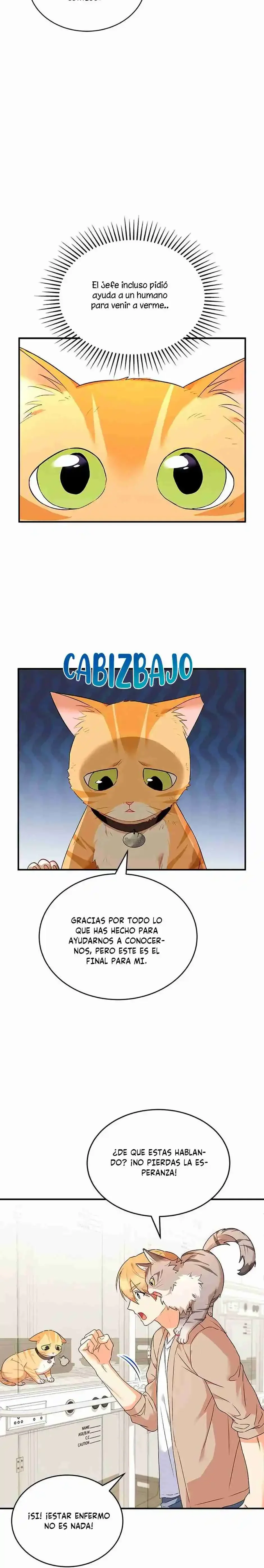 Capítulo 7, página 29