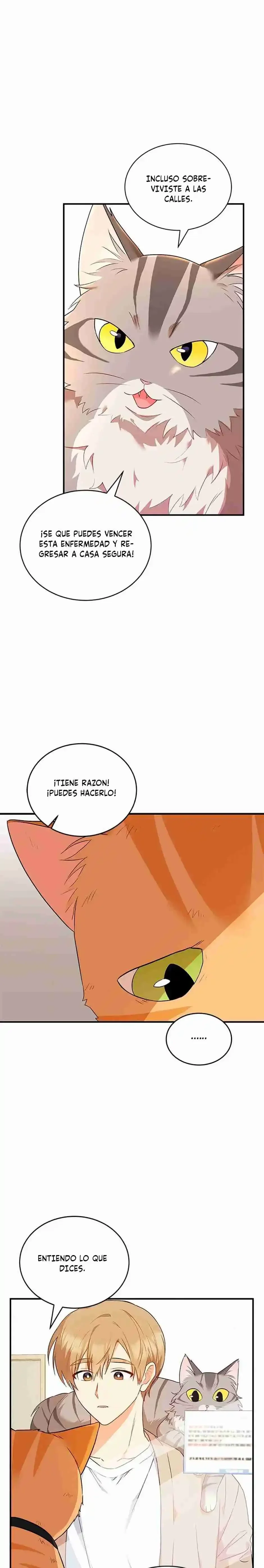 Capítulo 7, página 30