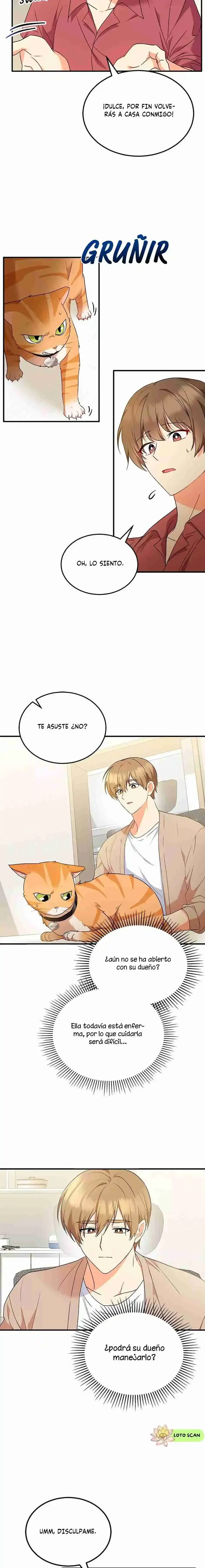Capítulo 8, página 11