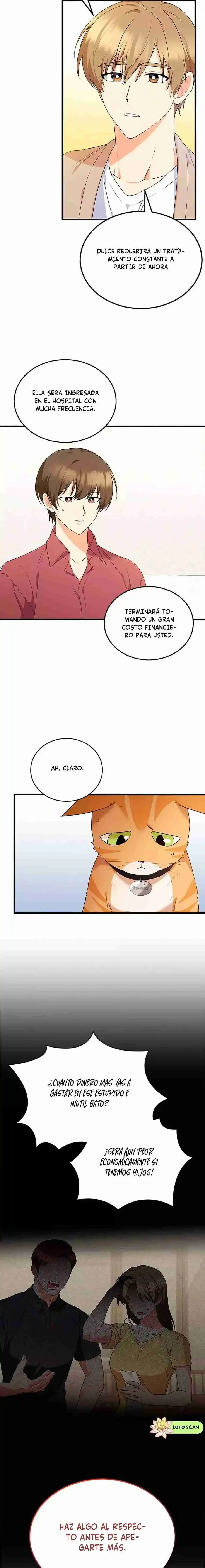 Capítulo 8, página 12