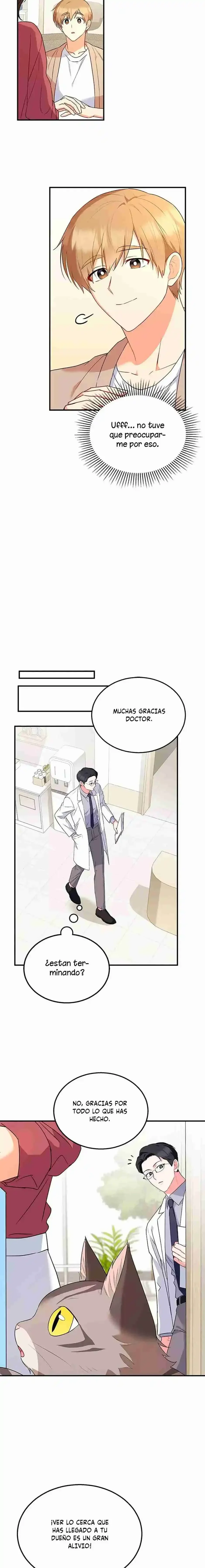 Capítulo 8, página 17