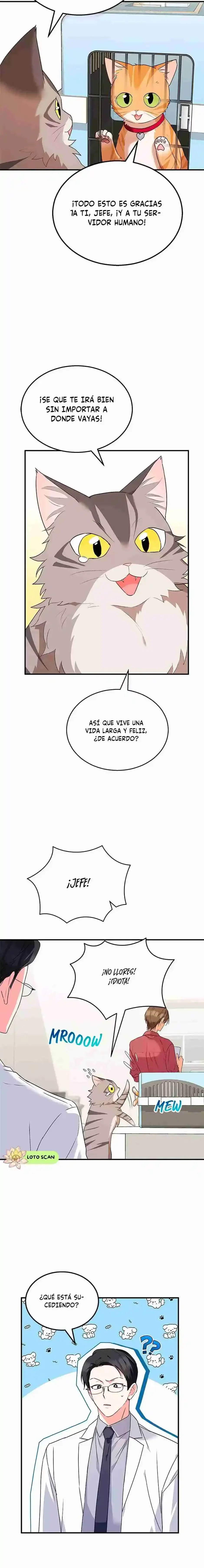 Capítulo 8, página 18