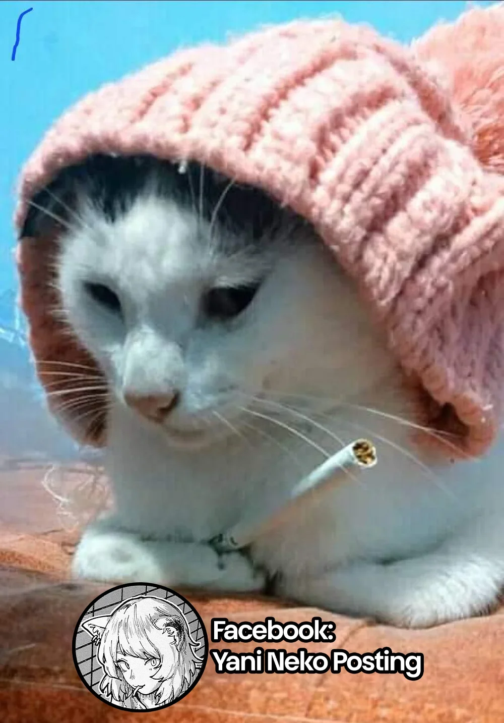Capítulo 1, página 15