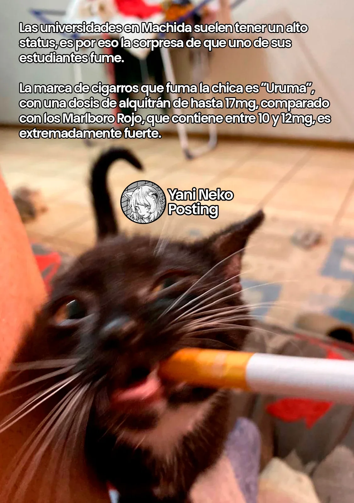 Capítulo 112, página 5