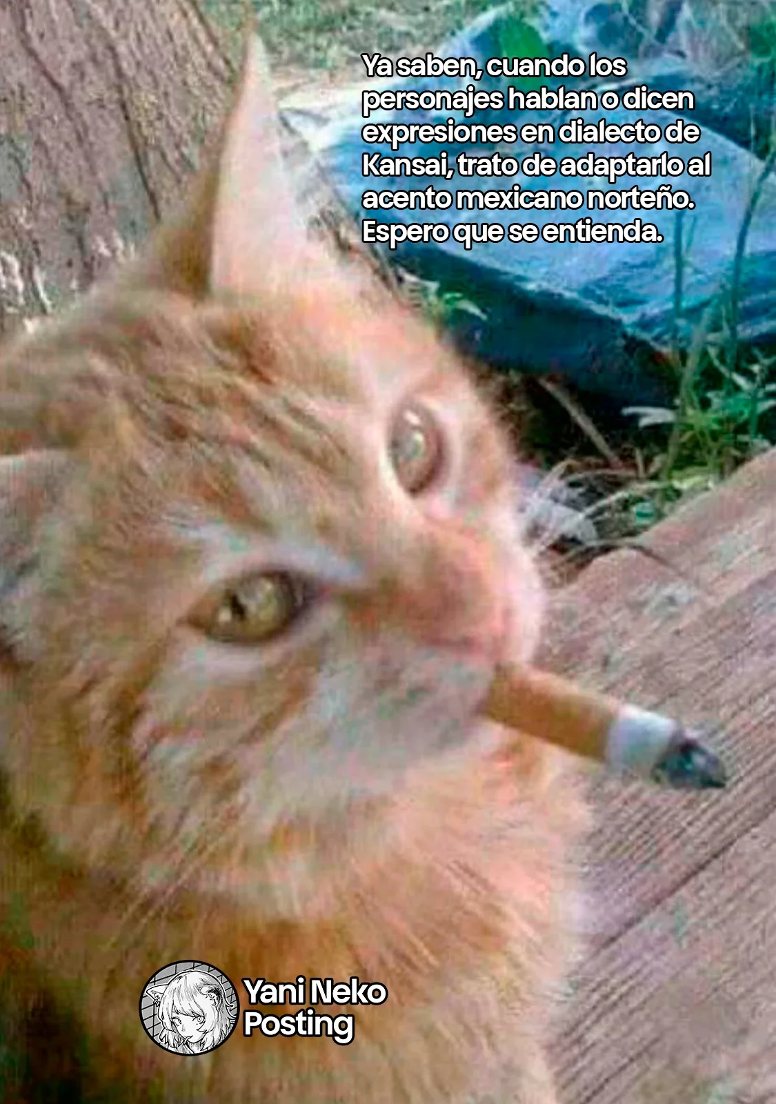 Capítulo 116, página 5