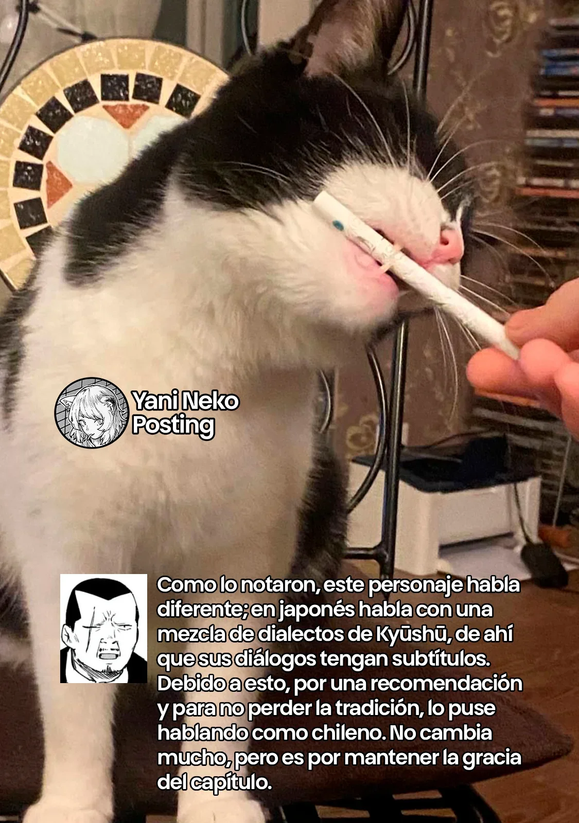 Capítulo 178, página 7