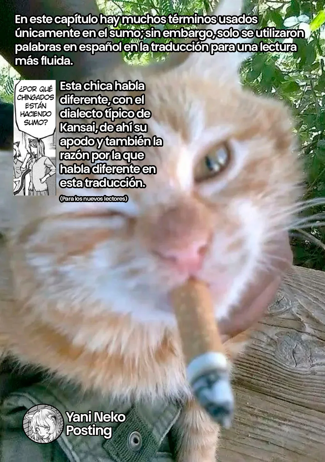 Capítulo 197, página 6