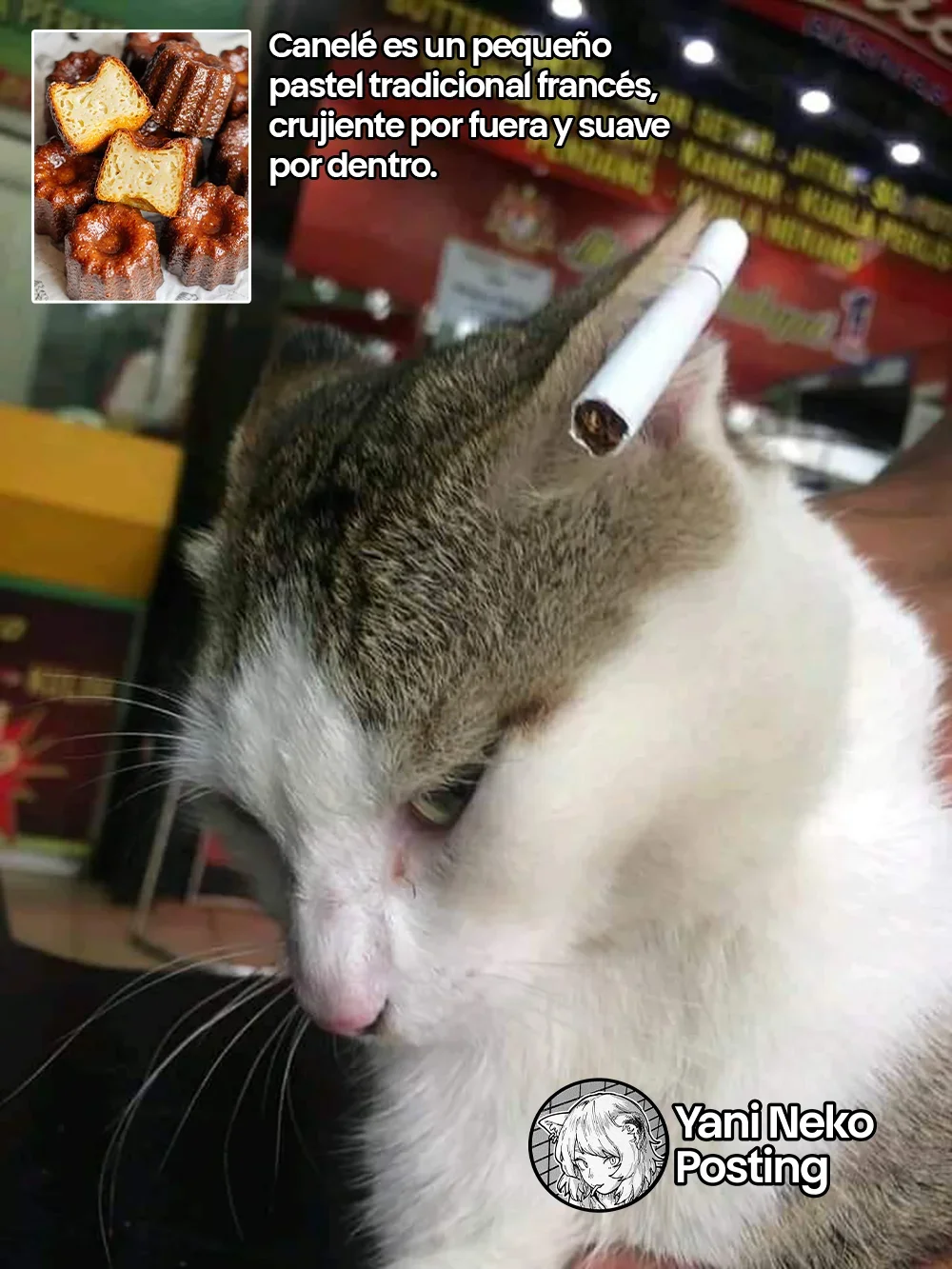 Capítulo 30, página 5