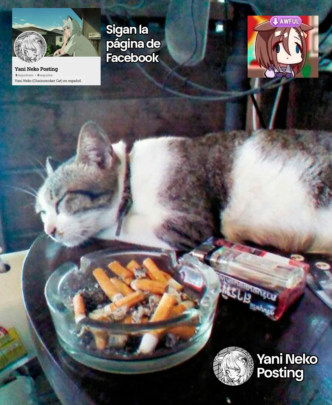 Capítulo 40, página 5
