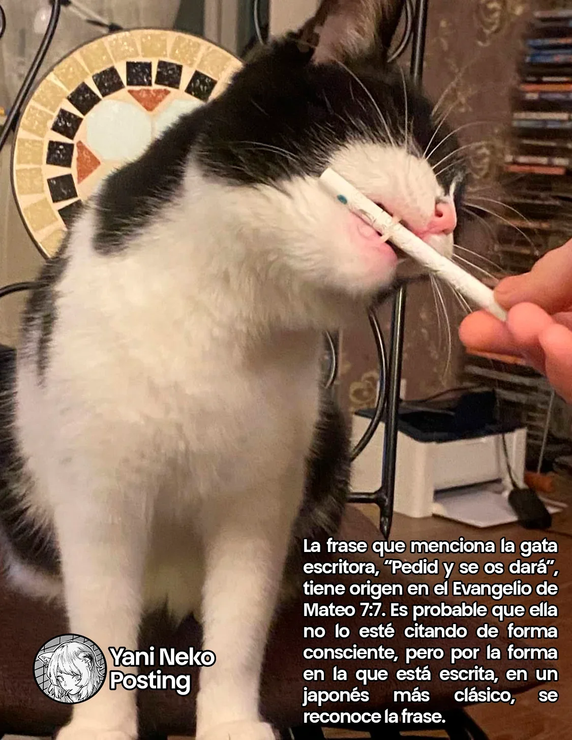 Capítulo 44, página 5