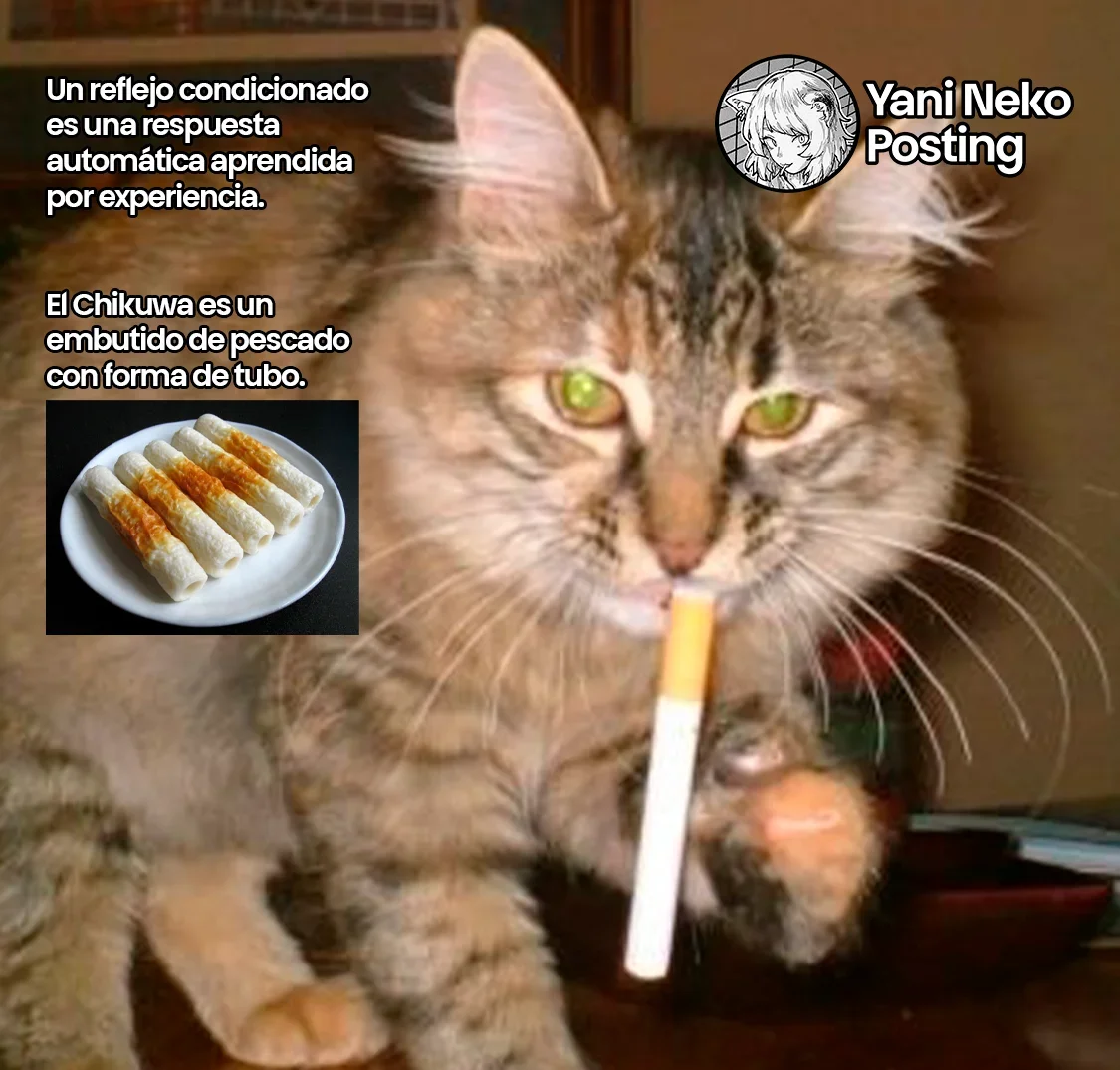 Capítulo 51, página 5