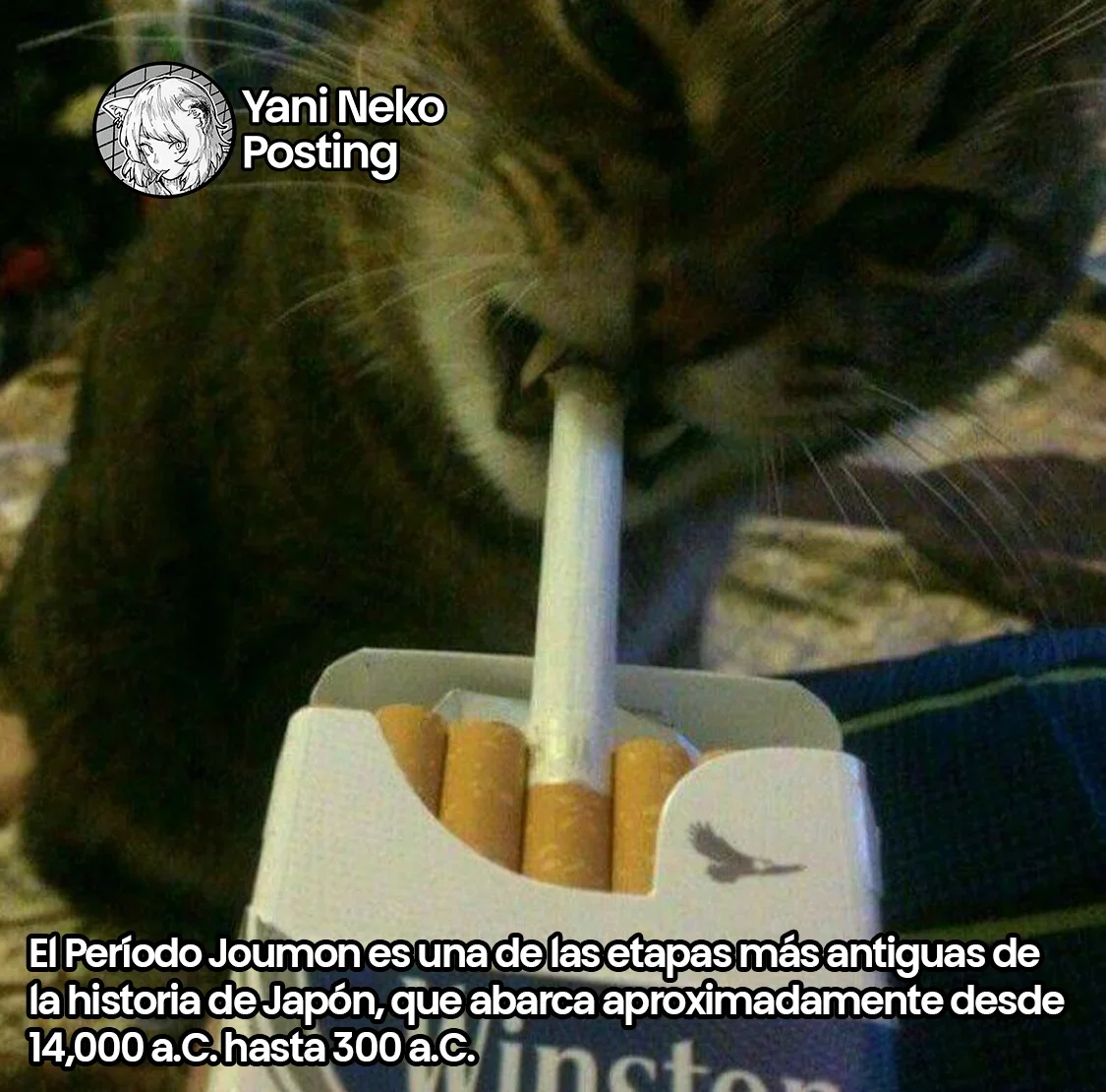 Capítulo 57, página 11