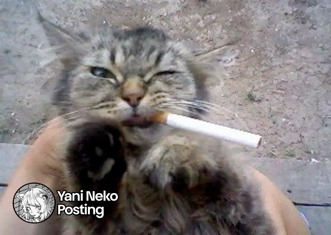 Capítulo 58, página 9