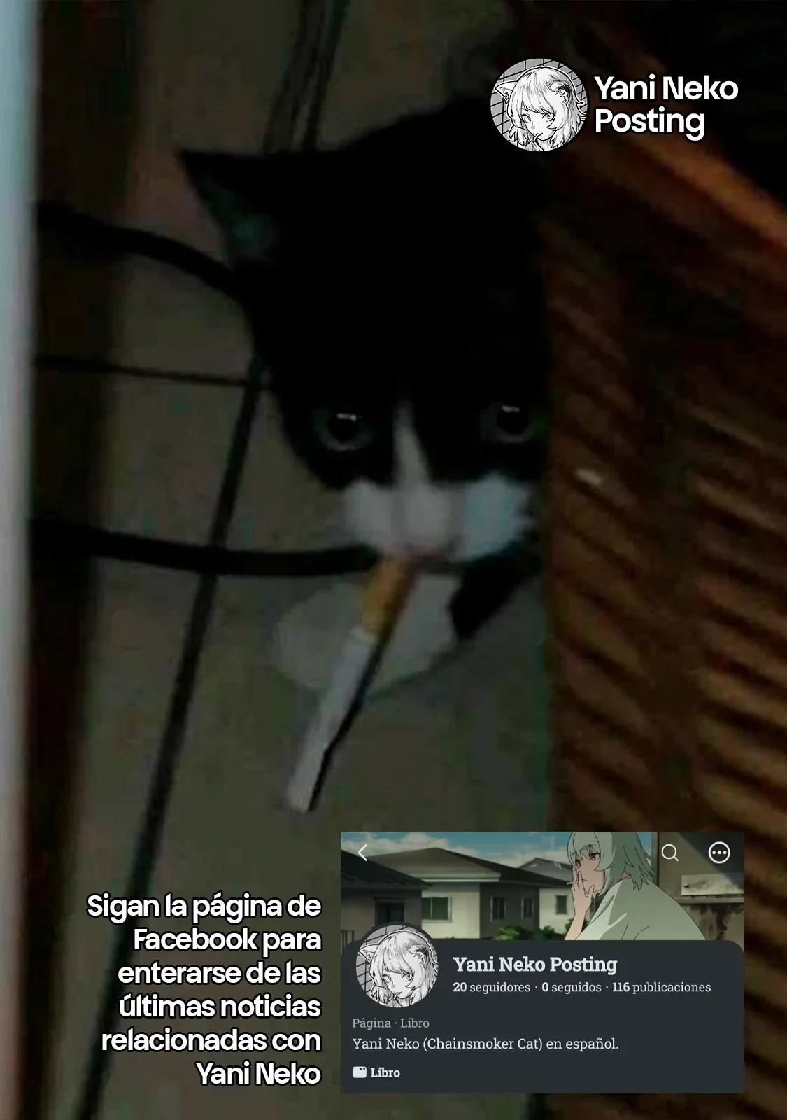 Capítulo 93, página 5