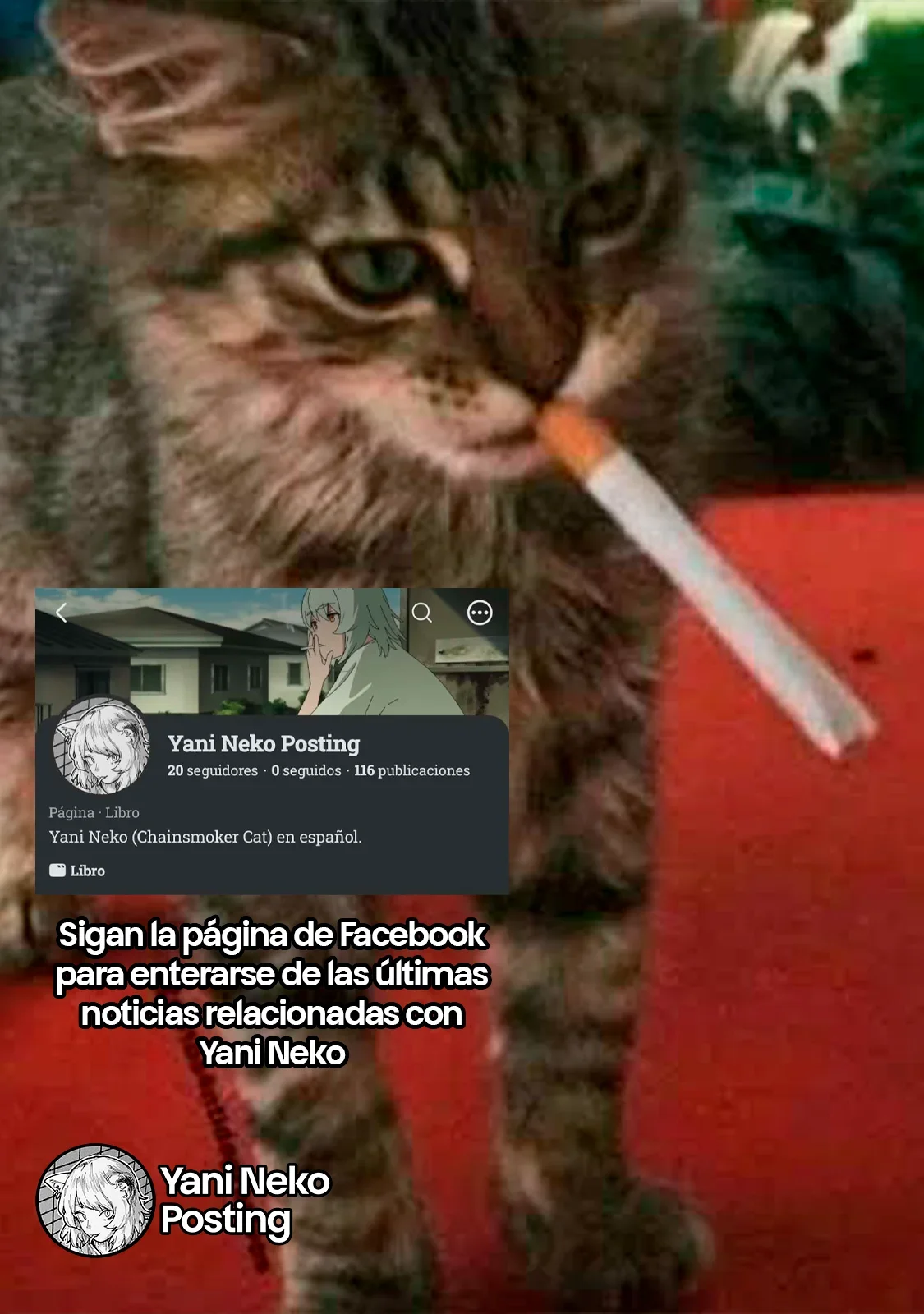 Capítulo 96, página 5