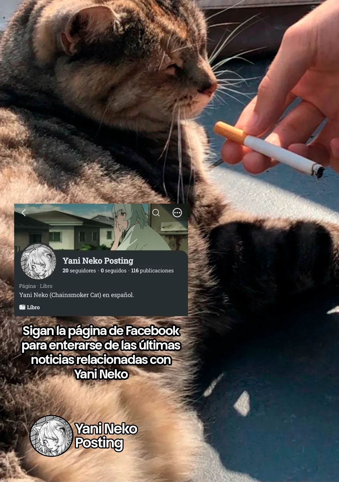 Capítulo 98, página 5